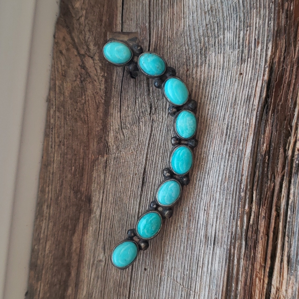 Turquoise Oval Stone Women's Earrings - Blue Silver Accent